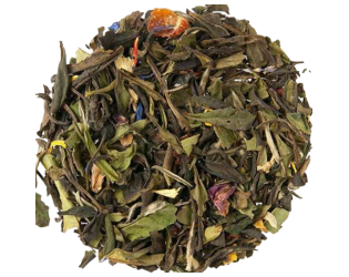 Cloud Forest Rainbow Cloud Forest Rainbow