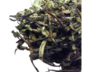 Cream Earl Grey (White) Cream Earl Grey (White)