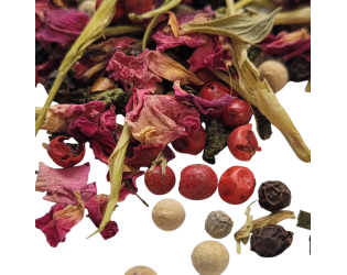 Demogorgon Demogorgon