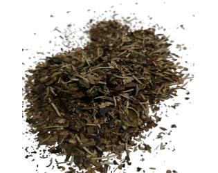 Forêt Moderne Forêt Moderne