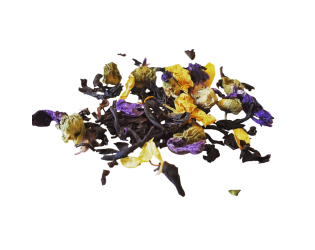 Hazelnut Vanilla Hazelnut Vanilla