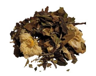 Hello There! Hello There!