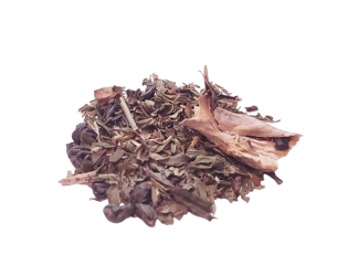 Ice Cannon Ice Cannon