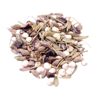 Immortalitea