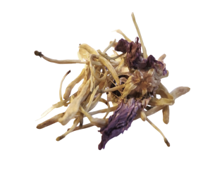 Pirate Kingish Pirate Kingish