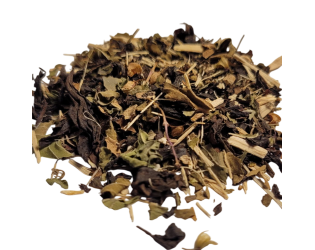 Rey of Light Rey of Light