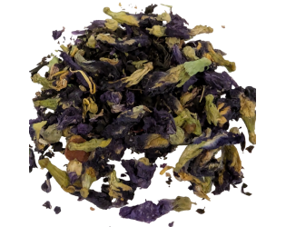 Sacred Flame Sacred Flame