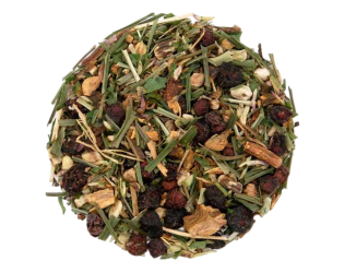 Swamp Guru Swamp Guru