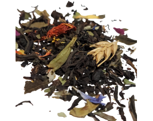 Team Sassy Science Team Sassy Science