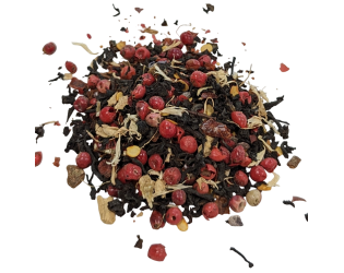 Tenzin's Children Tenzin's Children