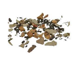 Wintergreen Soldier Wintergreen Soldier